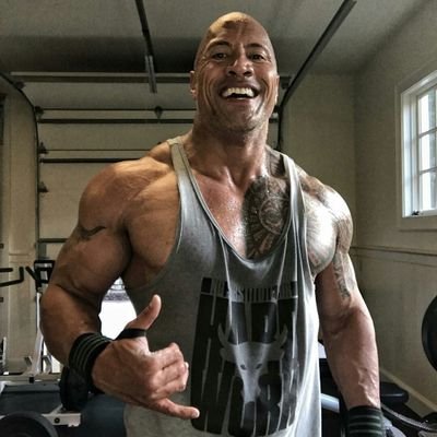 biggest fan of rock wwe sun music fast fouries Harry potter
