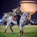 عبدالعزيز الصغير (@azo301) Twitter profile photo عبدالعزيز الصغير (@azo301) Twitter profile photo