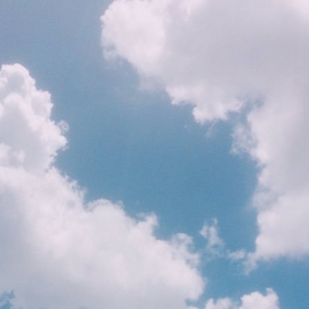 ntnps's profile picture. whatever, whenever