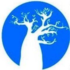Teacher, financial adviser, insurance & bank broker for sustainables investments