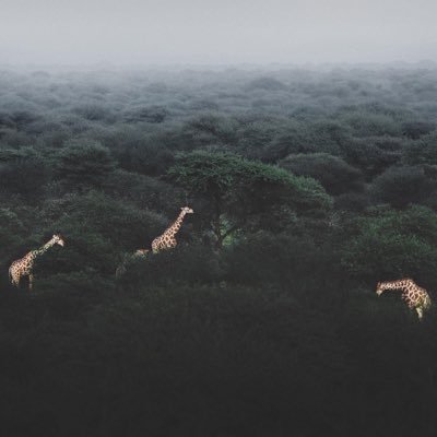 livegood888's profile picture. 