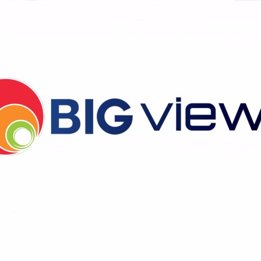 Bigviewsas's profile picture. Una compañía que entiende la importancia de los datos para entregar conocimiento.