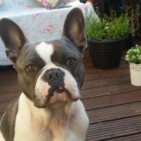 chris Jones (@spinner2000) 's Twitter Profile