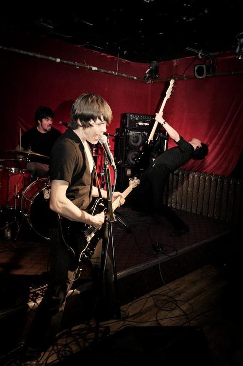 hawaiianbibles's profile picture. 