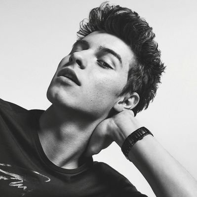 Shawn / The Vamps / Justin