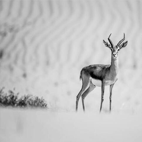 79OOH_00's profile picture. أبي النائم طويلاً مازلت في قلب أبنتك حيّا نحن ايضاً موتى مؤجلين فـ اللهم احسن الختام.