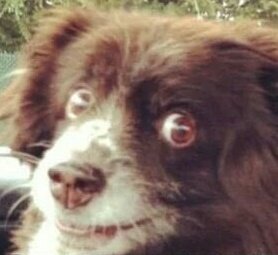 AlexStanBoy's profile picture. Vaper boy