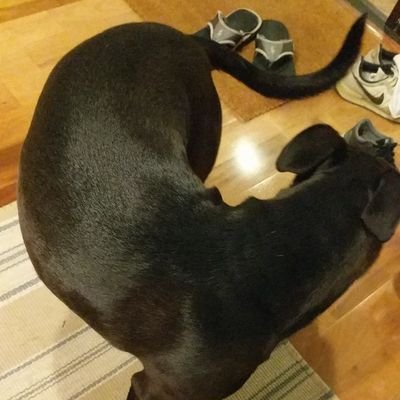 heyleebeck's profile picture. bring shitposting back!!