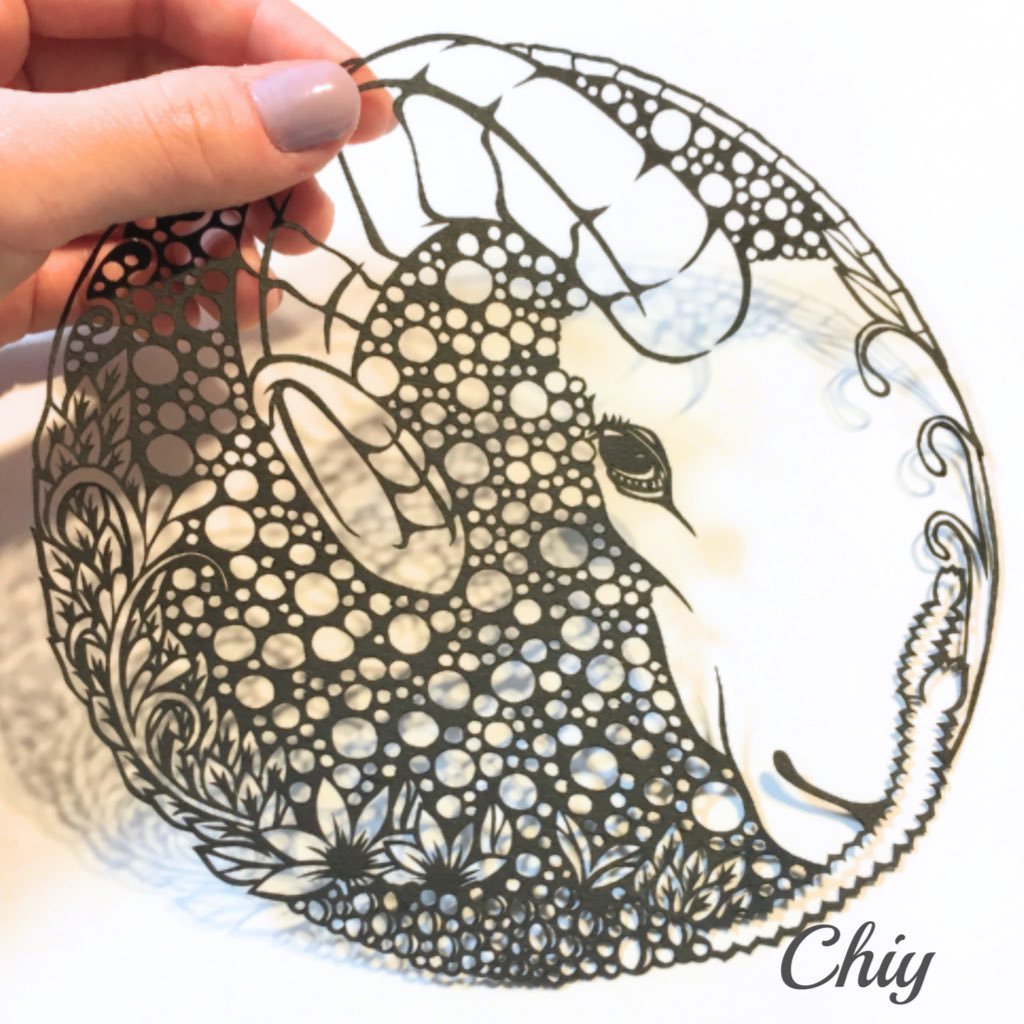 Chiy(ちぃ)さんのプロフィール画像
