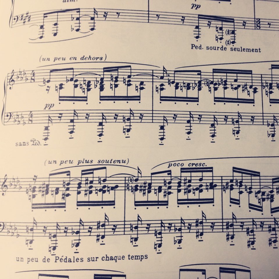 piano_solfege's profile picture. ソルフェージュ、和声、音楽学系小論文のレッスンもおこないます。詳しくはHPをご覧ください。📩solfege2017musicあっとまーくhttps://t.co/N8GNSmAmm4まで！📌ただいま出張レッスンは募集停止しておりますm(_ _)m