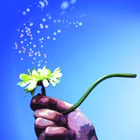 すおみ (@mas_maru) 's Twitter Profile Photo