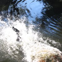 The Solution (@the11solution) 's Twitter Profile