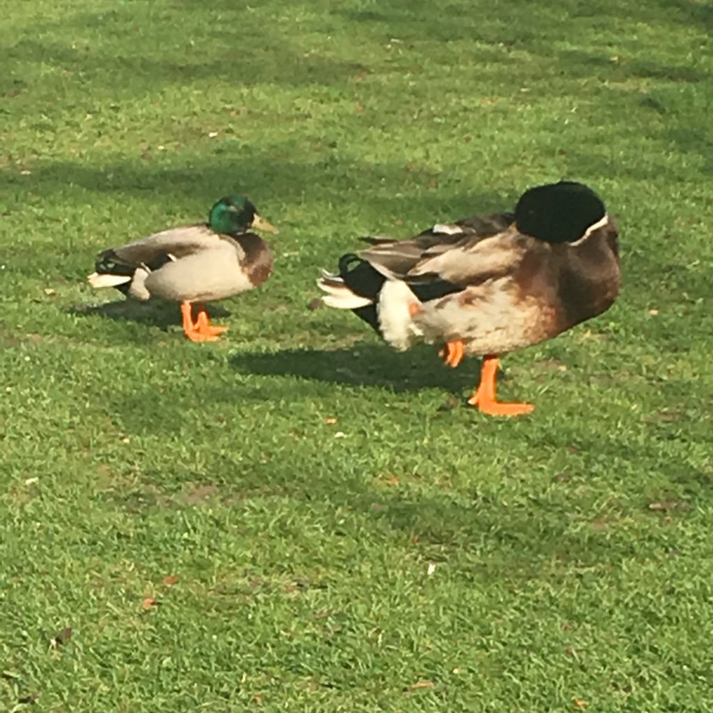 ei2ki130's profile picture. 喜多見→広学→慶経 社会人3年目