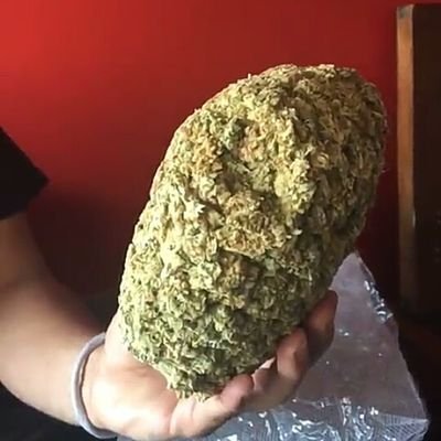 eliasvalero135's profile picture. 