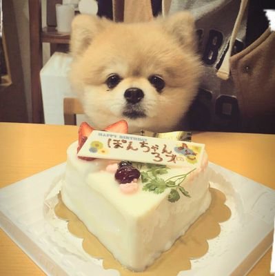 Premium_Pon_Pon's profile picture. 阪