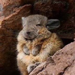 colorfulsc2's profile picture. 