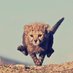 @SaQP3UnW0XH7oDi