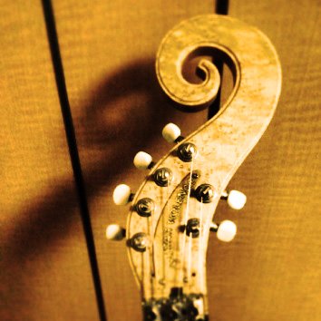 masmi_m's profile picture. 色々とポンコツであり趣味程度にギターやベース等の楽器を嗜んだり漫画やアニメやレトロゲームのお話なんかをしたりしなかったりする一つ下のダメな大人のアカウントだそうな