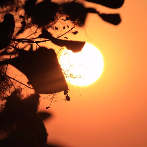 lyfxinsui's profile picture. 