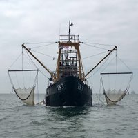 TS 3 sleepnetvissen (@ronalddejong2) 's Twitter Profile Photo