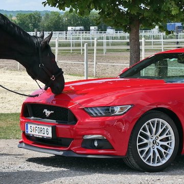 AutoblogA's profile picture. https://t.co/N2NBXMqJoR