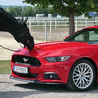 Autoblog-Austria (@autobloga) Twitter profile photo