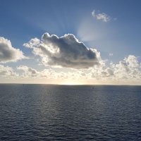 Rocko (@simonsays101) 's Twitter Profile