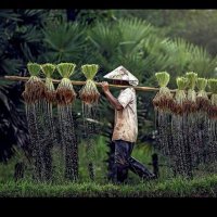 الريشاوي (@hfp8iggpgmwphvk) 's Twitter Profile Photo