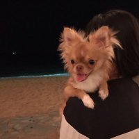 Panisara (@wipanisara17) 's Twitter Profile