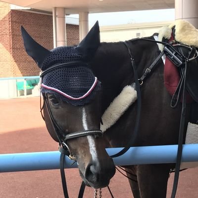 Greg0ly's profile picture. 牝10鹿毛。函館誘導馬箱推し。🐴ウインバリアシオン・ドゥラメンテ・愛しの王子様ｶﾚﾝﾐﾛﾃｨｯｸ・推しﾌﾟﾛﾃﾞｨｶﾞﾙｻﾝ。
ドゥラおばさんに、俺はなる！
🚗ｲﾝｽﾊﾟｲｱUA2🔰→ｱｺｰﾄﾞCL3→CL9→CU1。
ポケGO青70・赤43。ポケ ﾊﾞｲｵﾚｯﾄ。