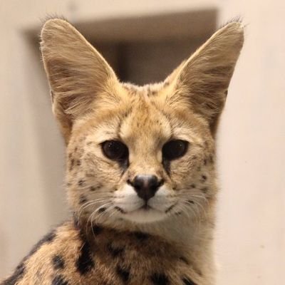 Tsutsumi M et al., 2025 (@motozyme) / Posts / X