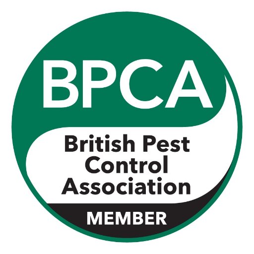 Pest Controller - Emerald Pest Control Serving Kent & South East London