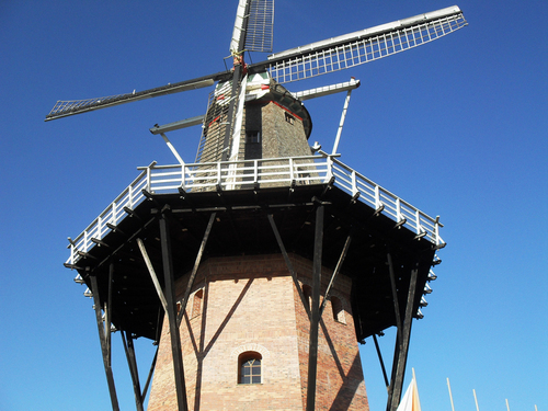 holambratur's profile picture. Holambra, a Cidade das Flores