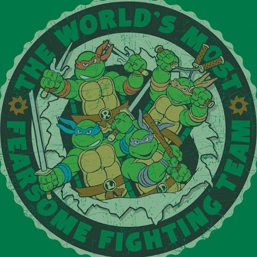 Teenage Mutant Ninja Turtles fan since the eighties! Cowabunga! I will be tweeting only about TMNT!