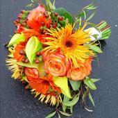 alpineflorist's profile picture. 