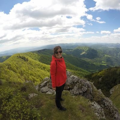 _Meluzina_'s profile picture. passionate traveler / recruiter at Dell