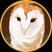 ho-ho-ふくろう雑貨 (@hohozakka) Twitter profile photo ho-ho-ふくろう雑貨 (@hohozakka) Twitter profile photo