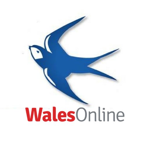 Cardiff City Online