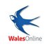 Cardiff City Online (@CardiffCityLive) Twitter profile photo