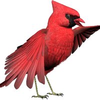 NeutronBytes (@djysrv) 's Twitter Profile