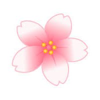 ใฏใ๐ธ@ใ่ๅญๅข (@haru72gateau) 's Twitter Profile