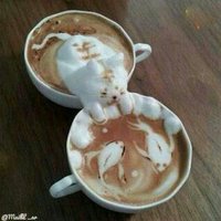 🤣 (@mxwbvpayufft7hj) Twitter profile photo