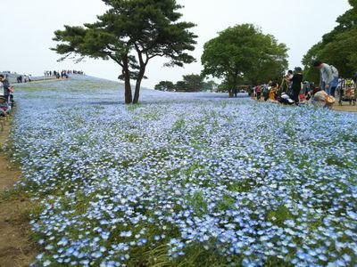 宜しくお願いします。平凡に暮らしてます