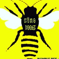 King Beez (@kingbeezsurf) 's Twitter Profile