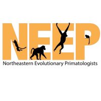 NEEP (@neevolprimatol) 's Twitter Profile