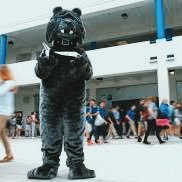 BHSJUNIORS19's profile picture. Official Twitter for Braddock's Class of 2020 | Follow us for updates and important information!