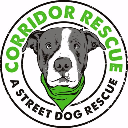 We are a 501(c)(3) non-profit street dog rescue serving an area of Houston, Texas dubbed the Corridor of Cruelty.