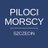PilociMorscySzczecin