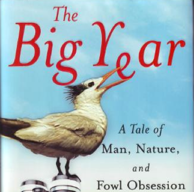 TheBigYear's profile picture. 