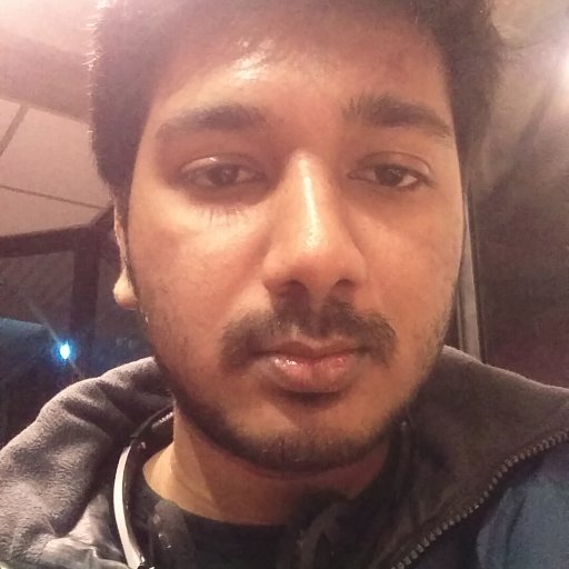 arhik23's profile picture. Brother, Research Associate II. Loves Computational Neuroscience, AI and music.